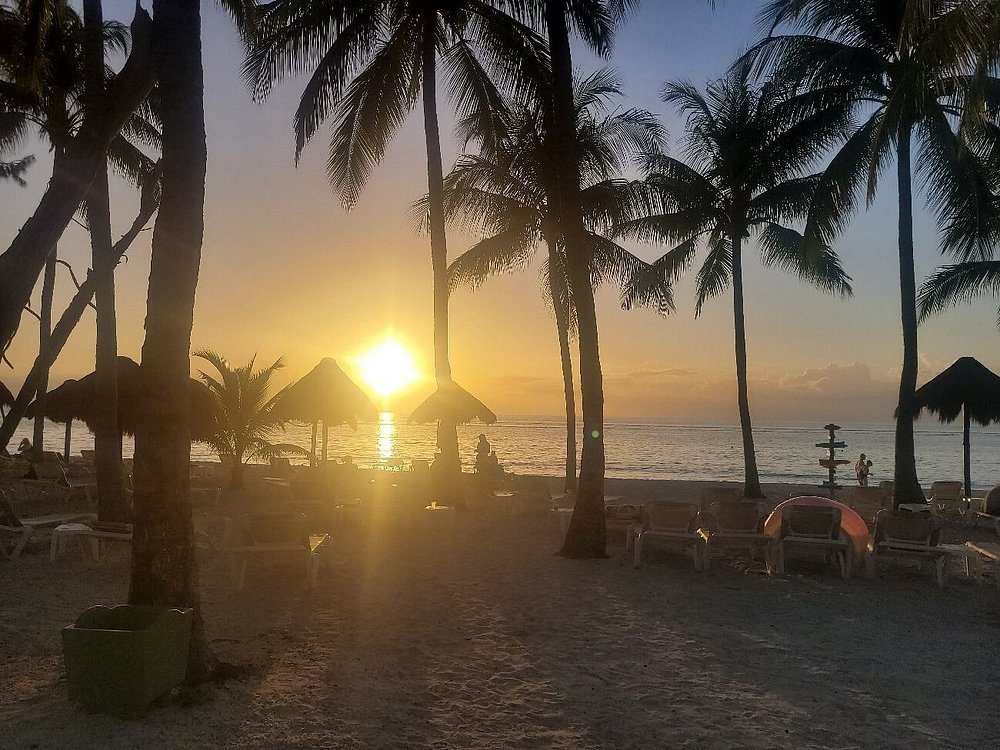 Playa y camastros del hotel